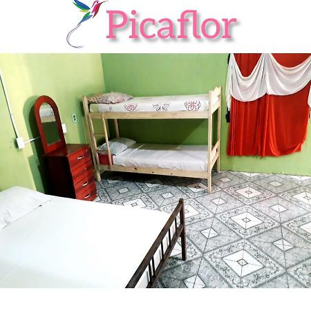 Alojamiento Picaflor Iguazu Vandrerhjem Puerto Iguazú Eksteriør bilde